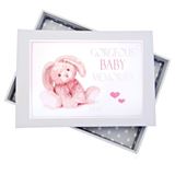 WC00000-54 New Baby Pink Bunny Album